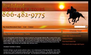 Big Island Horseback Tours