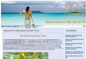 Big Island Snorkel