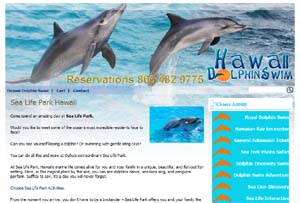 Hawaii Dolphin Swim
