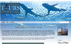 Shark Cage Tours